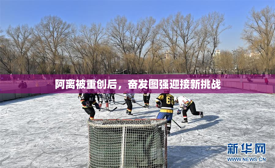 阿离被重创后，奋发图强迎接新挑战