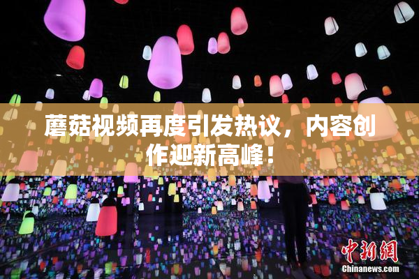 蘑菇视频再度引发热议，内容创作迎新高峰！