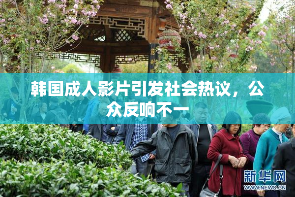 韩国成人影片引发社会热议，公众反响不一