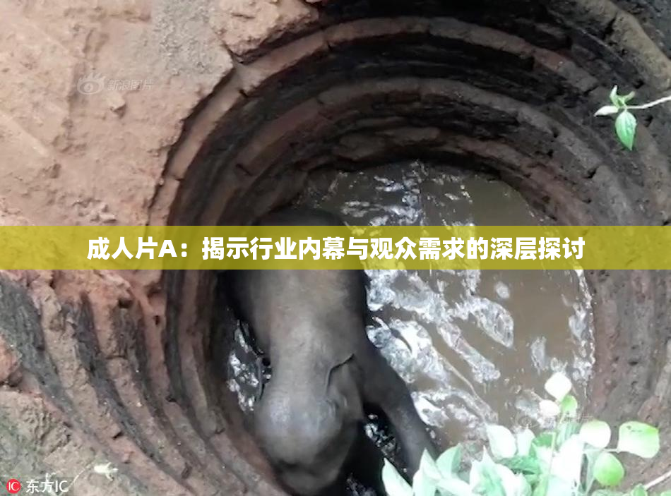 成人片A：揭示行业内幕与观众需求的深层探讨