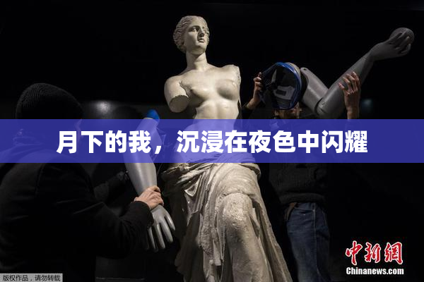 月下的我，沉浸在夜色中闪耀