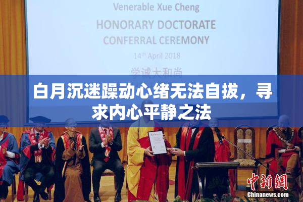 白月沉迷躁动心绪无法自拔，寻求内心平静之法