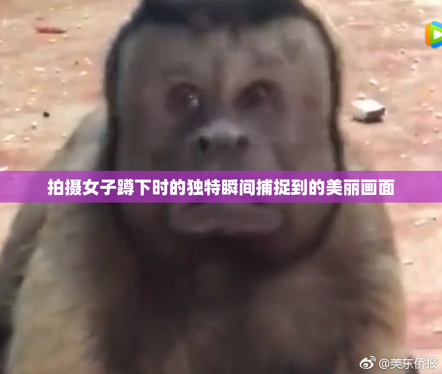拍摄女子蹲下时的独特瞬间捕捉到的美丽画面