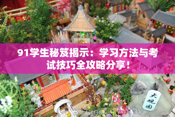 91学生秘笈揭示：学习方法与考试技巧全攻略分享！