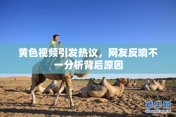 黄色视频引发热议，网友反响不一分析背后原因