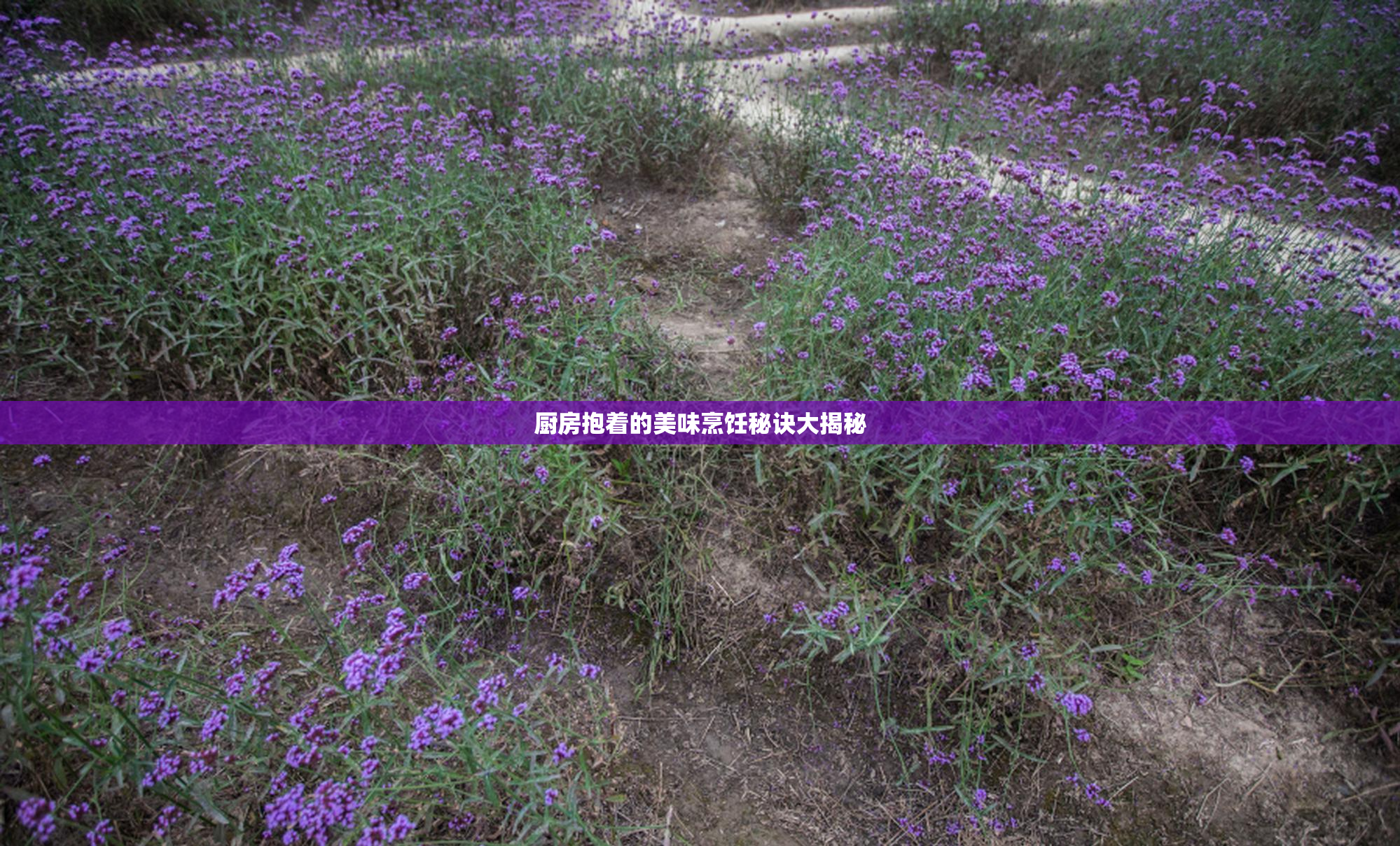 厨房抱着的美味烹饪秘诀大揭秘