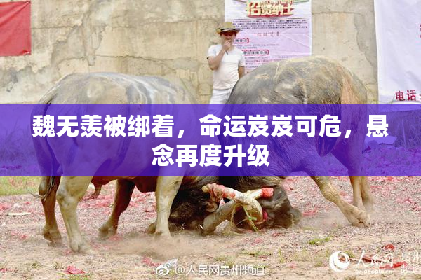 魏无羡被绑着，命运岌岌可危，悬念再度升级