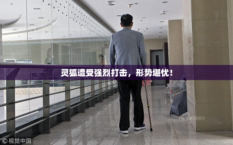 灵狐遭受强烈打击，形势堪忧！