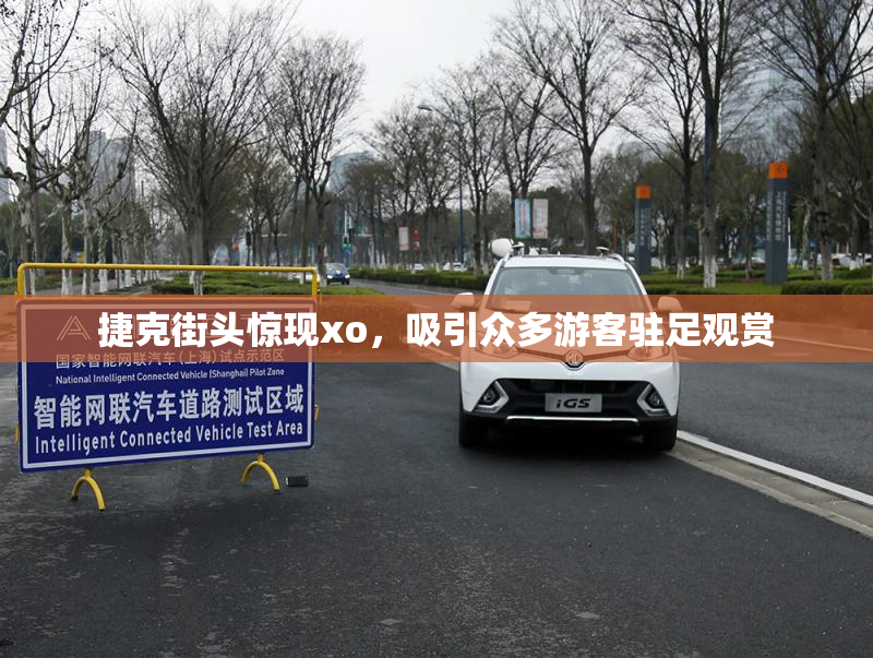 捷克街头惊现xo，吸引众多游客驻足观赏