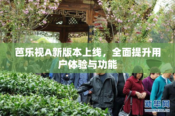 芭乐视A新版本上线，全面提升用户体验与功能