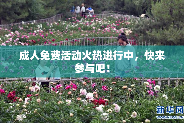 成人免费活动火热进行中，快来参与吧！