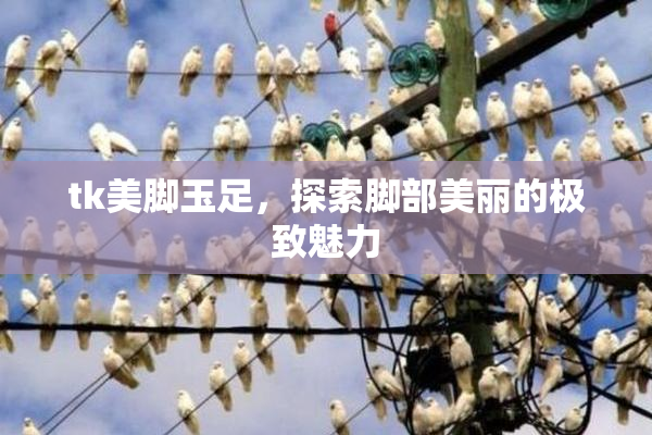 tk美脚玉足，探索脚部美丽的极致魅力