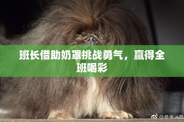 班长借助奶罩挑战勇气，赢得全班喝彩