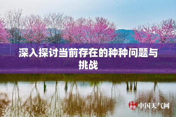 深入探讨当前存在的种种问题与挑战