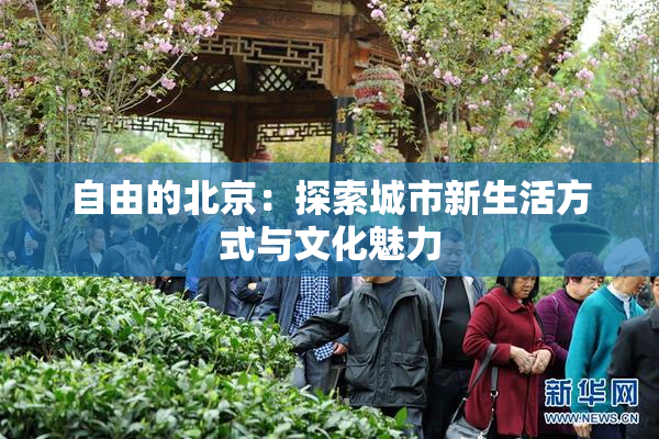 自由的北京：探索城市新生活方式与文化魅力