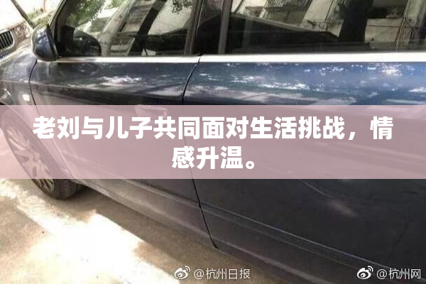 老刘与儿子共同面对生活挑战，情感升温。