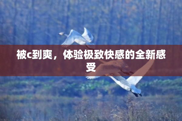 被c到爽，体验极致快感的全新感受