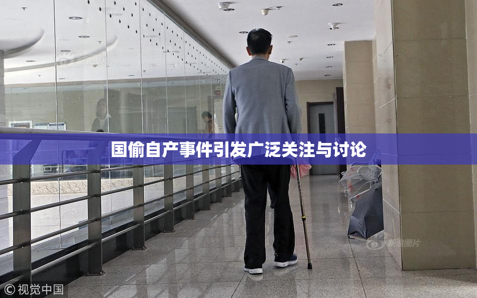 国偷自产事件引发广泛关注与讨论
