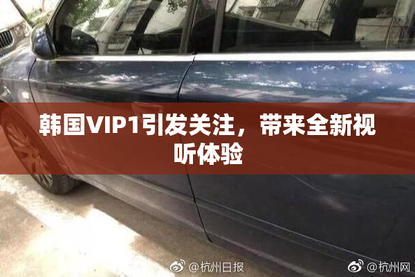 韩国VIP1引发关注，带来全新视听体验