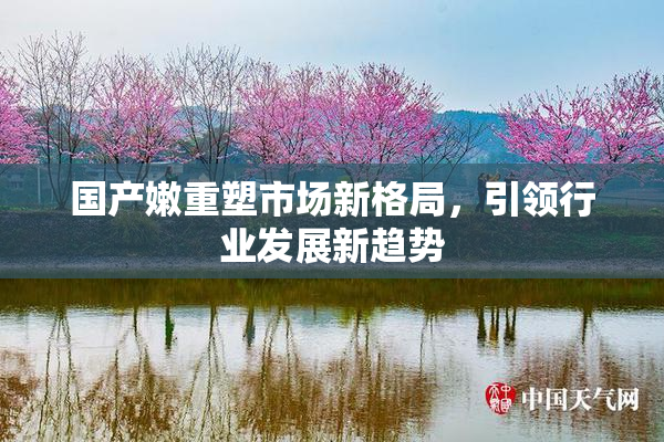 国产嫩重塑市场新格局，引领行业发展新趋势