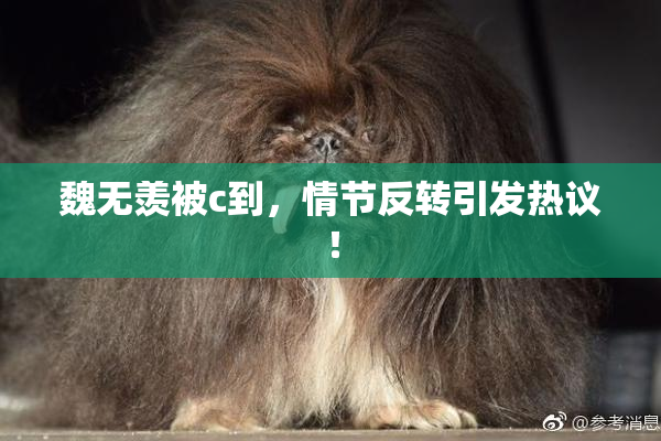 魏无羡被c到，情节反转引发热议！