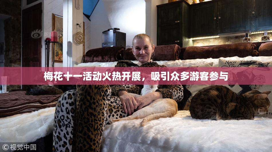 梅花十一活动火热开展，吸引众多游客参与