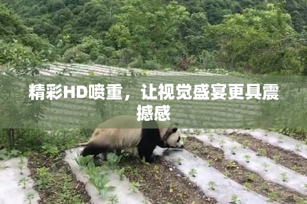 精彩HD喷重，让视觉盛宴更具震撼感