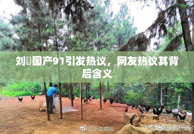 刘玥国产91引发热议，网友热议其背后含义