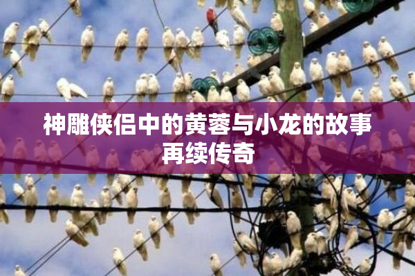 神雕侠侣中的黄蓉与小龙的故事再续传奇