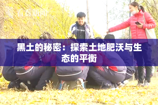 黑土的秘密：探索土地肥沃与生态的平衡