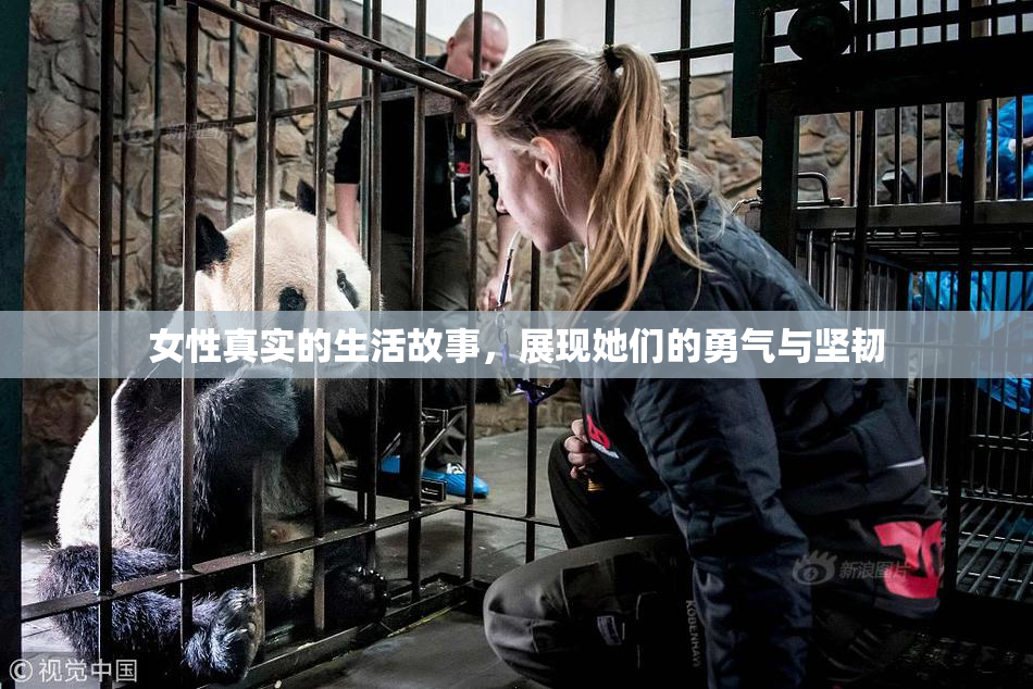 女性真实的生活故事，展现她们的勇气与坚韧