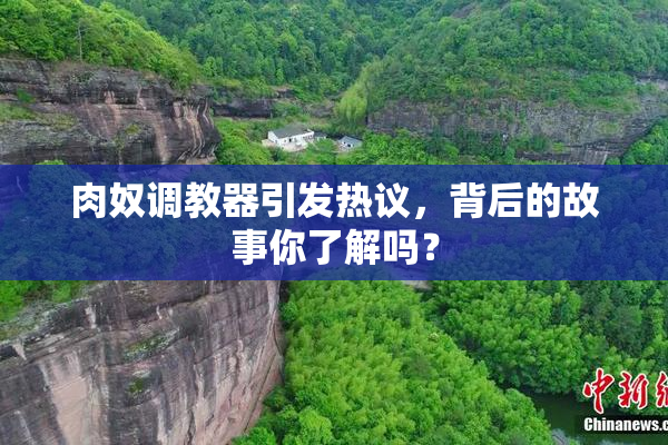 肉奴调教器引发热议，背后的故事你了解吗？