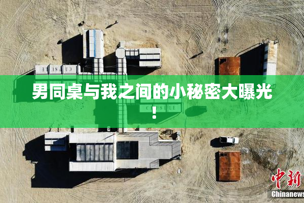 男同桌与我之间的小秘密大曝光！