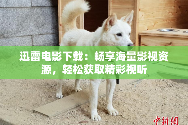 迅雷电影下载：畅享海量影视资源，轻松获取精彩视听