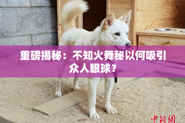 重磅揭秘：不知火舞秘以何吸引众人眼球？