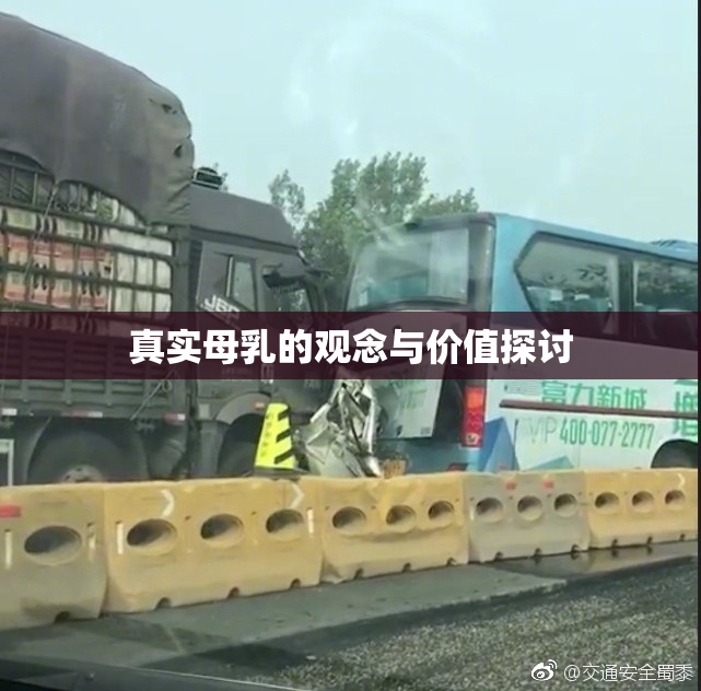 真实母乳的观念与价值探讨