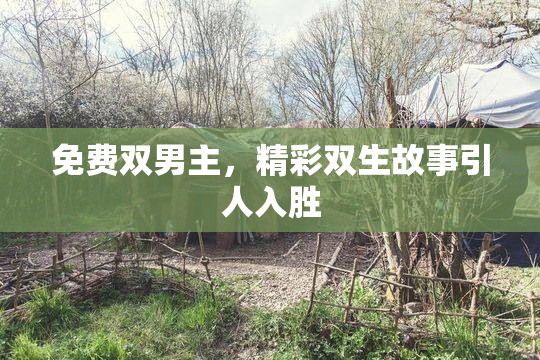 免费双男主，精彩双生故事引人入胜