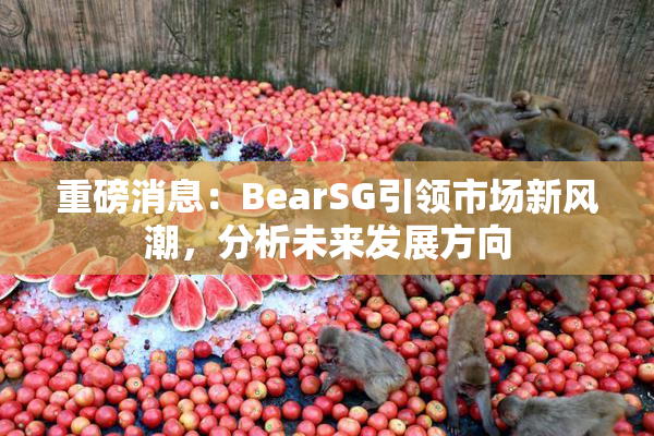 重磅消息：BearSG引领市场新风潮，分析未来发展方向