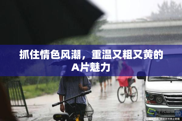 抓住情色风潮，重温又粗又黄的A片魅力
