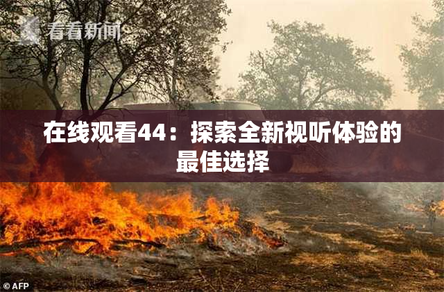在线观看44：探索全新视听体验的最佳选择