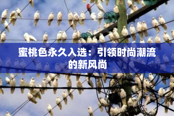 蜜桃色永久入选：引领时尚潮流的新风尚