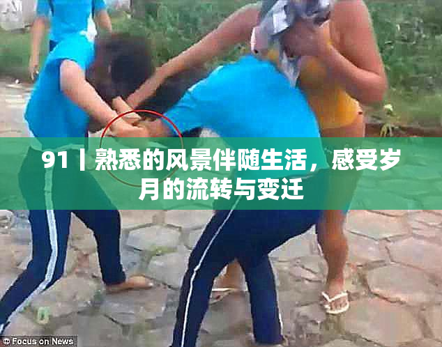91丨熟悉的风景伴随生活，感受岁月的流转与变迁