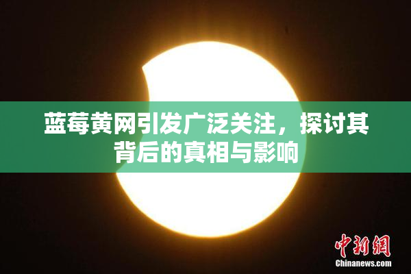 蓝莓黄网引发广泛关注，探讨其背后的真相与影响