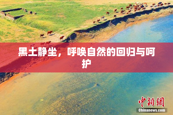 黑土静坐，呼唤自然的回归与呵护