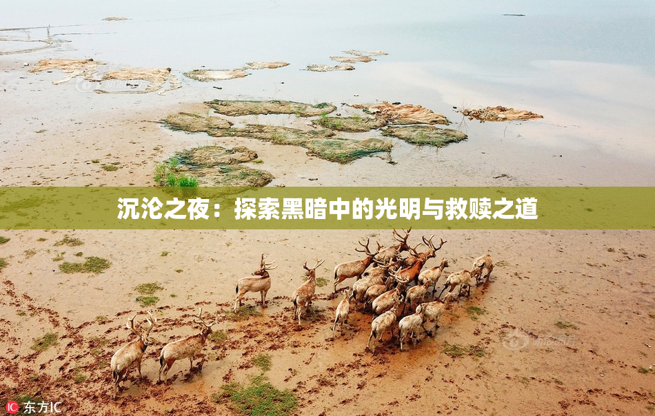 沉沦之夜：探索黑暗中的光明与救赎之道