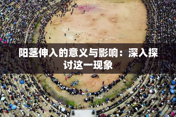阳茎伸入的意义与影响：深入探讨这一现象
