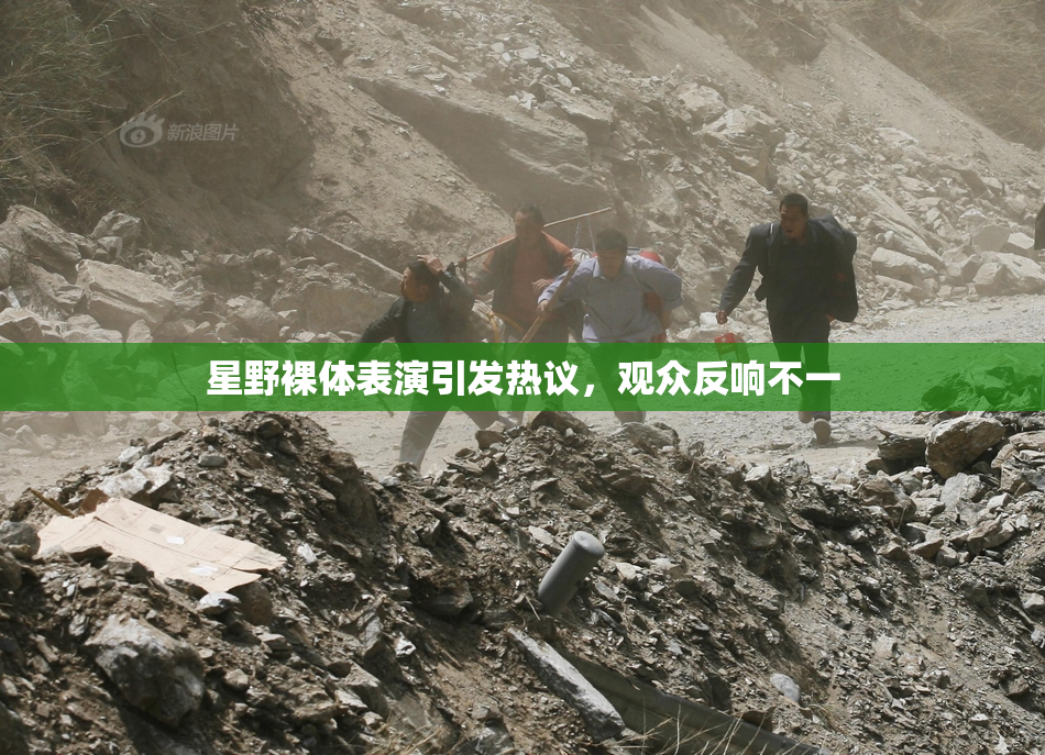 星野裸体表演引发热议，观众反响不一