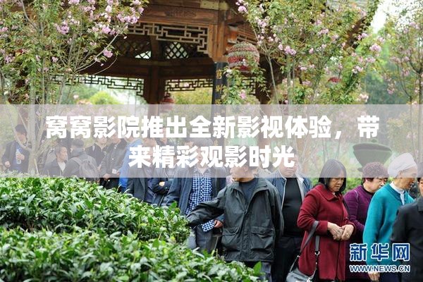 窝窝影院推出全新影视体验，带来精彩观影时光