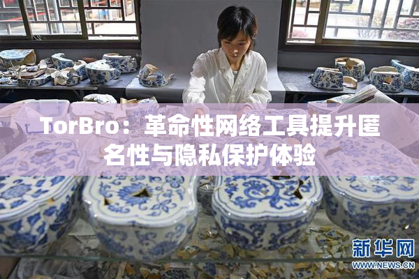 TorBro：革命性网络工具提升匿名性与隐私保护体验