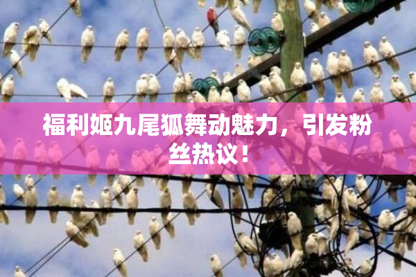 福利姬九尾狐舞动魅力，引发粉丝热议！